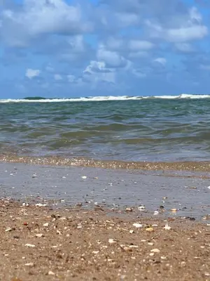 Paisagem natural perto da casa de férias