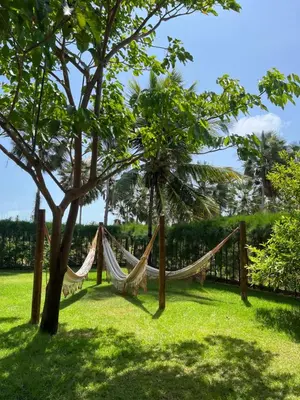 Um jardim no exterior de Casa Barra Nova