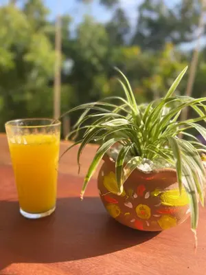 Bebidas em Casa Bela Vida