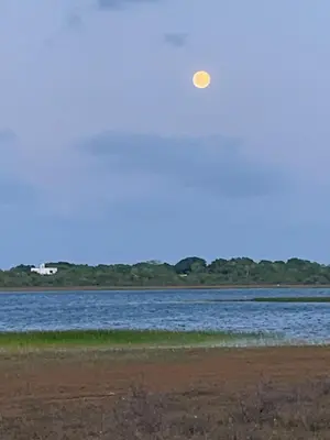 Paisagem natural perto da casa de férias