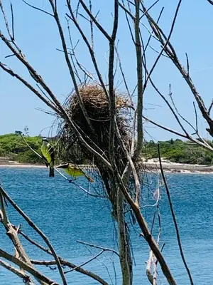 Paisagem natural perto da casa de férias