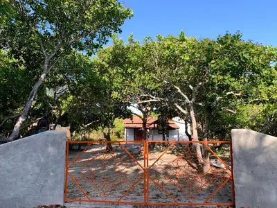 Um jardim no exterior de Canto dos passaros