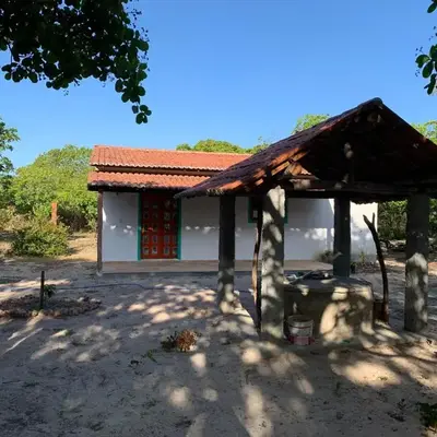Canto dos passaros