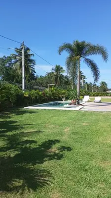 Um jardim no exterior de Casa di Palmas