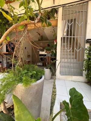 Um jardim no exterior de Suíte Pé na Areia - Super Local