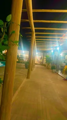 A planta de Casa araujo