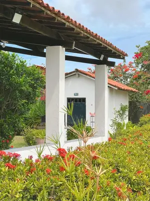 Um jardim no exterior de Sítio Caju