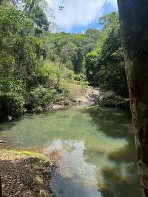 A planta de Sítio feliz Guaramiranga