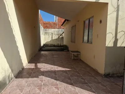A planta de Cantim da tranquilidade