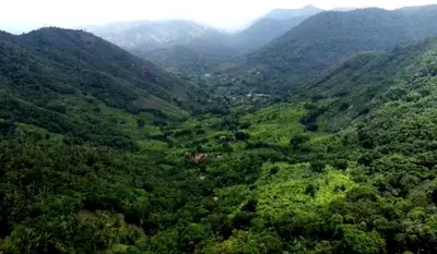 Paisagem natural perto da villa