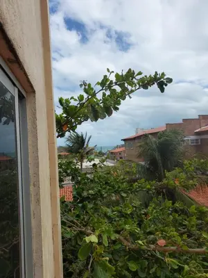 Paisagem natural perto do apartamento