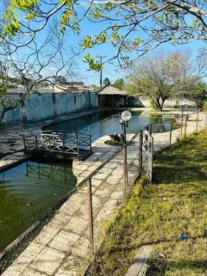 Paisagem natural perto da casa de férias