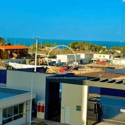 A planta de Gran Summer