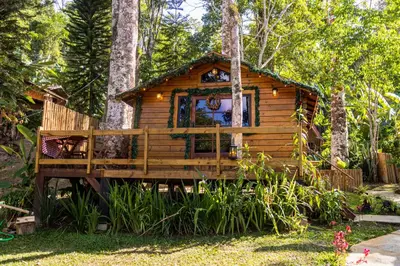 Um jardim no exterior de Cabana da arvore