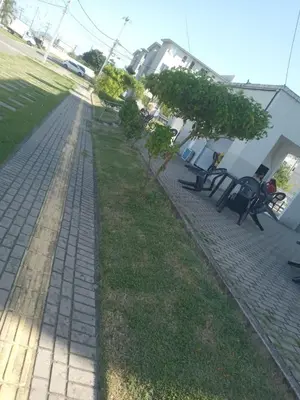 A planta de Ap da Naty