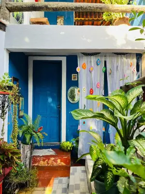 Um jardim no exterior de Blue Day
