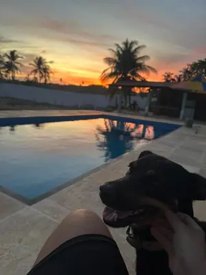 O nascer ou o pôr do sol visto a partir da casa de férias