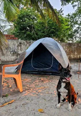 O animal ou animais de estimação com os hóspedes em Camping MotorHome Caiçara