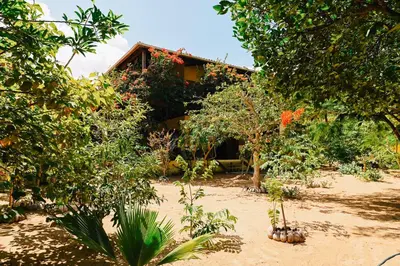 Um jardim no exterior de Casa Bem Te Vi