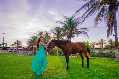 Animais no hotel ou nos arredores