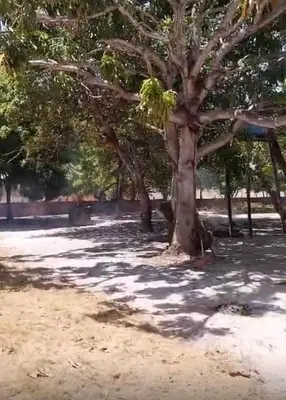 A planta de Casa de sítio