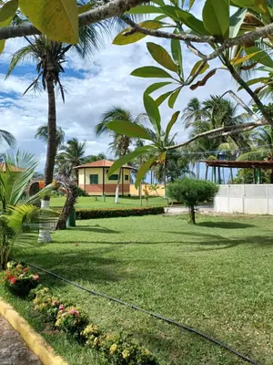 Um jardim no exterior de Pousada Sitio Phoenix