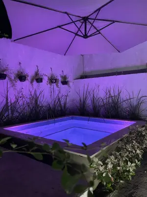 A planta de Casa Aconchego