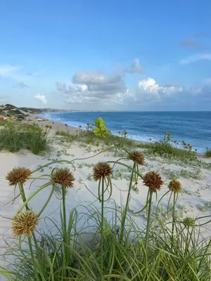 Paisagem natural perto da casa de férias