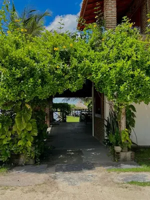 Um jardim no exterior de Village Choça