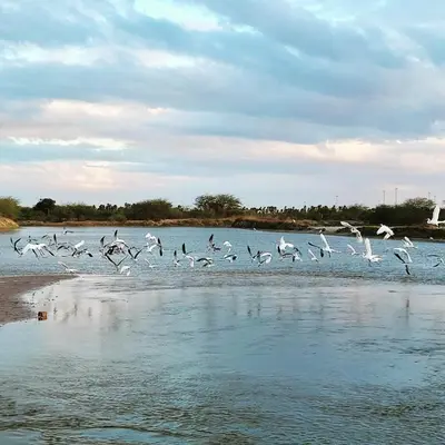 Paisagem natural perto da casa de férias