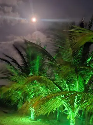 Paisagem natural perto da casa de férias