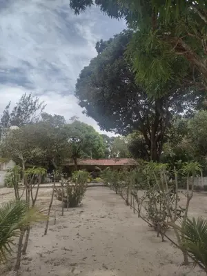 Paisagem natural perto da casa de férias