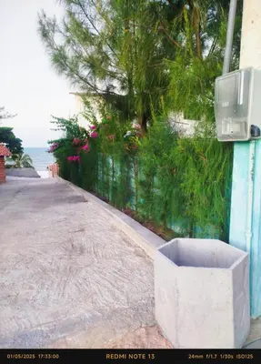A planta de Paradise City