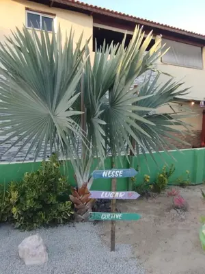 A planta de Pousada Praiamar