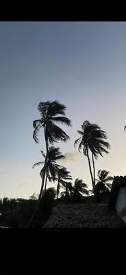 A planta de Casa Sereia Icapuí