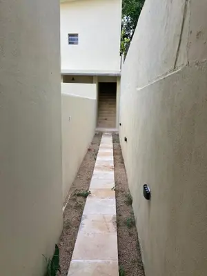 A planta de Paraíso na praia