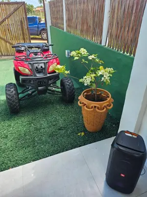 Um jardim no exterior de KaBeat House Icaraizinho