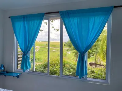 Um jardim no exterior de casa da Anastacia