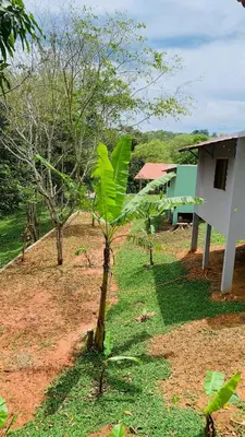 Um jardim no exterior de Chalè Pico Alto