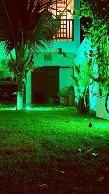 Um jardim no exterior de Casa Tartaruga Emboaca Trairí