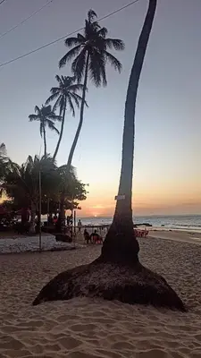 Paisagem natural perto da casa de férias