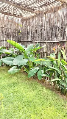Um jardim no exterior de Vila Alizius