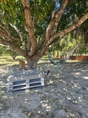 Um jardim no exterior de Sitio Coco Doce Aquiraz