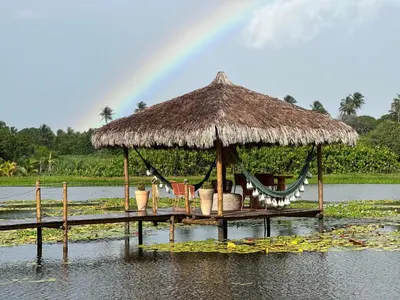 Paisagem natural perto da casa de hóspedes