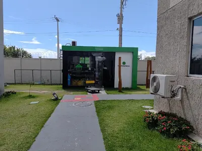 A planta de Solar das árvores