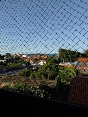 A planta de Cantinho feliz