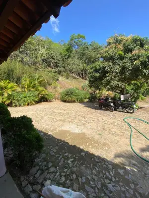 Um jardim no exterior de Sítio exclusivo em meio à Natureza - Guaramiranga