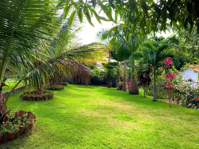 Um jardim no exterior de Sítio Jean Barros