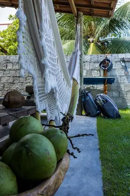 Um jardim no exterior de Casa Mangará