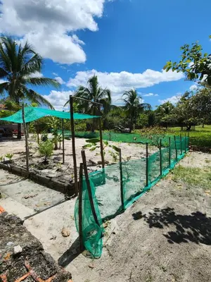 Um jardim no exterior de Sítio Lagoa das Libélulas